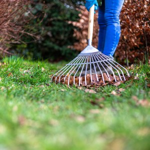 Ames Lawn&Leaf Rake St/Steel